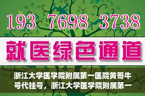 浙江大学医学院附属第一医院黄哥牛号代挂号，浙江大学医学院附属第一医院黄哥牛号代挂号服务解析