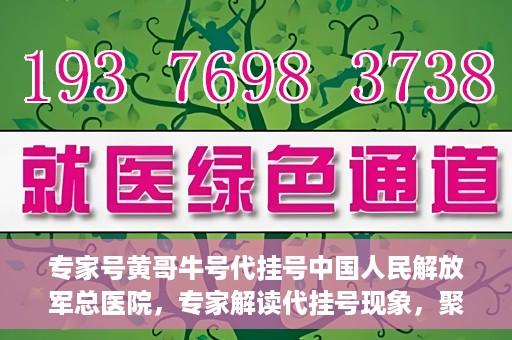 专家号黄哥牛号代挂号中国人民解放军总医院，专家解读代挂号现象，聚焦中国人民解放军总医院黄哥牛号事件