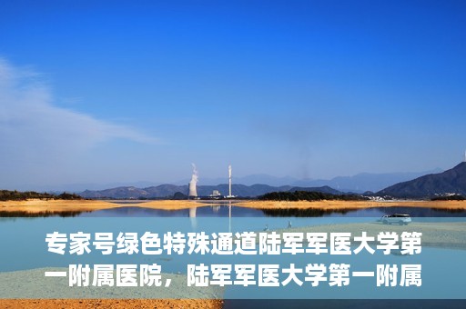 专家号绿色特殊通道陆军军医大学第一附属医院，陆军军医大学第一附属医院专家号绿色特殊通道揭秘