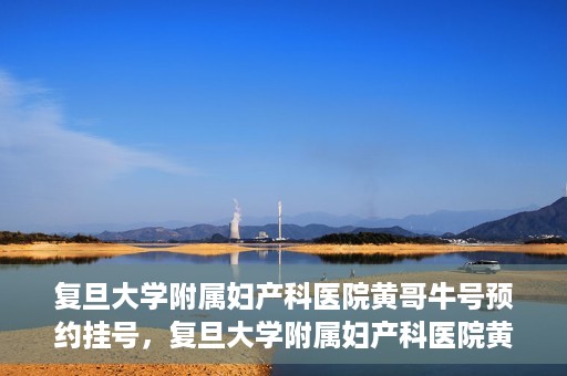 复旦大学附属妇产科医院黄哥牛号预约挂号，复旦大学附属妇产科医院黄哥牛挂号预约攻略解析
