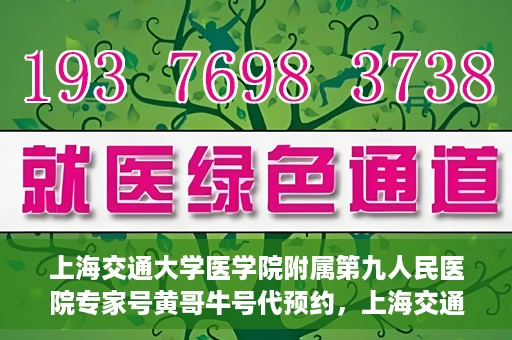 上海交通大学医学院附属第九人民医院专家号黄哥牛号代预约，上海交通大学医学院附属第九人民医院专家号预约服务解析，黄哥牛号预约指南