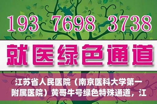 江苏省人民医院（南京医科大学第一附属医院）黄哥牛号绿色特殊通道，江苏省人民医院绿色特殊通道，黄哥牛号的医疗速度与温情服务