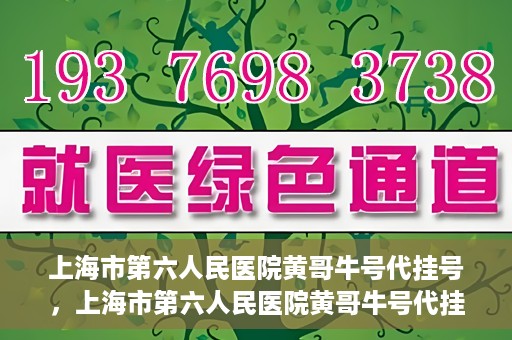 上海市第六人民医院黄哥牛号代挂号，上海市第六人民医院黄哥牛号代挂号攻略揭秘