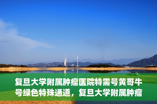 复旦大学附属肿瘤医院特需号黄哥牛号绿色特殊通道，复旦大学附属肿瘤医院特需号黄哥牛号绿色就医通道揭秘