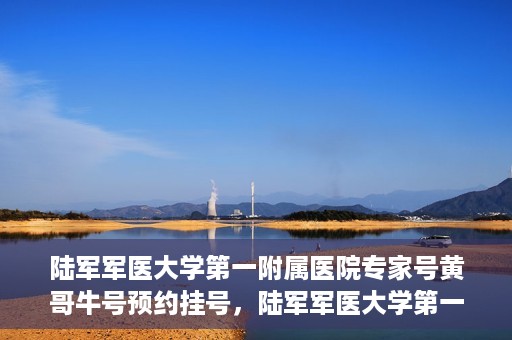 陆军军医大学第一附属医院专家号黄哥牛号预约挂号，陆军军医大学第一附属医院专家号黄哥牛号预约挂号攻略