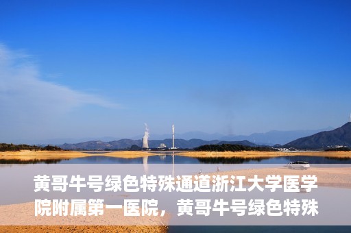 黄哥牛号绿色特殊通道浙江大学医学院附属第一医院，黄哥牛号绿色特殊通道，浙江大学医学院附属第一医院的探索与实践