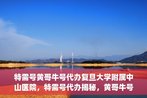 特需号黄哥牛号代办复旦大学附属中山医院，特需号代办揭秘，黄哥牛号直达复旦大学附属中山医院
