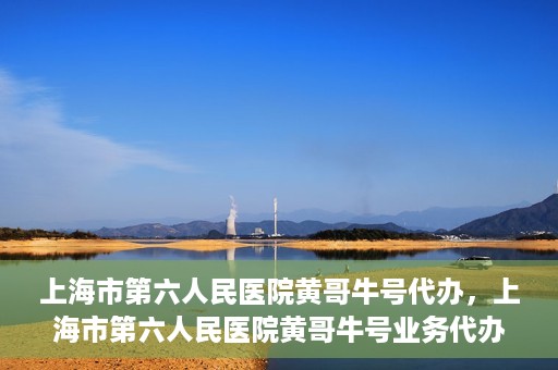 上海市第六人民医院黄哥牛号代办，上海市第六人民医院黄哥牛号业务代办攻略