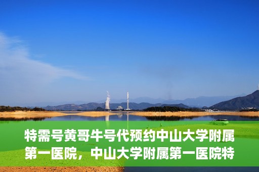 特需号黄哥牛号代预约中山大学附属第一医院，中山大学附属第一医院特需号黄哥牛号预约服务解析