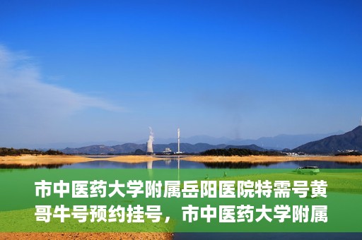 市中医药大学附属岳阳医院特需号黄哥牛号预约挂号，市中医药大学附属岳阳医院黄哥牛特需号预约挂号攻略
