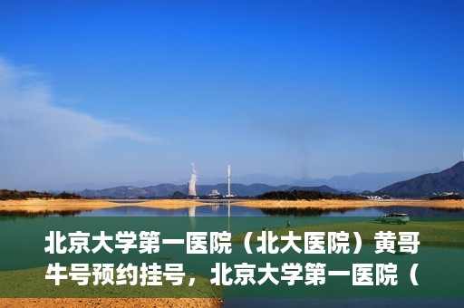 北京大学第一医院（北大医院）黄哥牛号预约挂号，北京大学第一医院（北大医院）黄哥牛号，预约挂号攻略