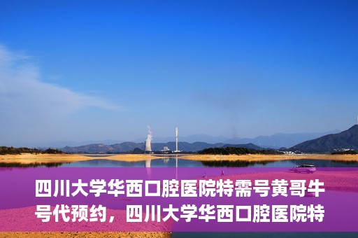 四川大学华西口腔医院特需号黄哥牛号代预约，四川大学华西口腔医院特需号专家预约服务解析，黄哥牛号代预约详解