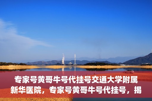 专家号黄哥牛号代挂号交通大学附属新华医院，专家号黄哥牛号代挂号，揭秘上海交通大学附属新华医院的挂号秘籍