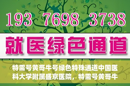特需号黄哥牛号绿色特殊通道中国医科大学附属盛京医院，特需号黄哥牛号，盛京医院开启绿色特殊通道服务