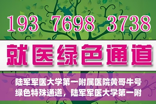 陆军军医大学第一附属医院黄哥牛号绿色特殊通道，陆军军医大学第一附属医院黄哥牛号，绿色特殊通道开启健康之门