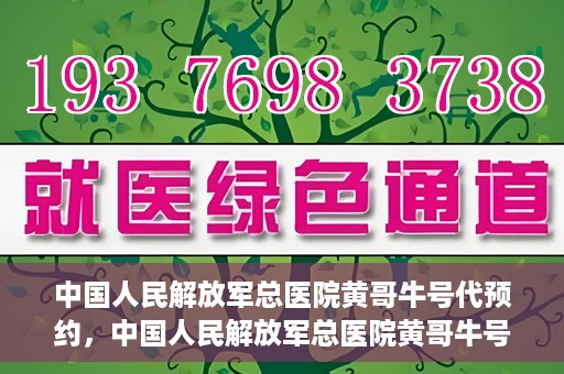 中国人民解放军总医院黄哥牛号代预约，中国人民解放军总医院黄哥牛号预约服务解析
