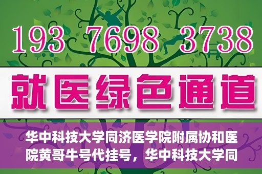 华中科技大学同济医学院附属协和医院黄哥牛号代挂号，华中科技大学同济医学院附属协和医院黄哥牛号代挂号服务详解