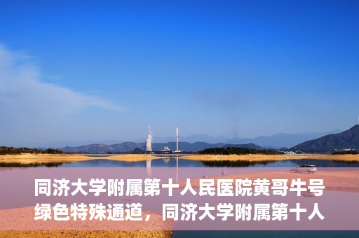 同济大学附属第十人民医院黄哥牛号绿色特殊通道，同济大学附属第十人民医院黄哥牛号，绿色特殊通道开启健康之门