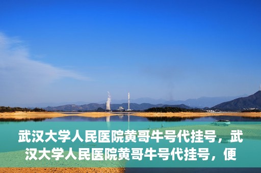 武汉大学人民医院黄哥牛号代挂号，武汉大学人民医院黄哥牛号代挂号，便捷就医背后的故事