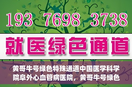 黄哥牛号绿色特殊通道中国医学科学院阜外心血管病医院，黄哥牛号绿色就医通道，中国医学科学院阜外心血管病医院的探索与实践