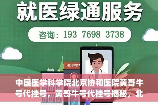 中国医学科学院北京协和医院黄哥牛号代挂号，黄哥牛号代挂号揭秘，北京协和医院挂号背后的故事