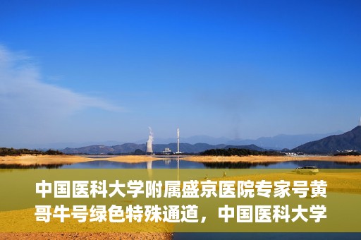 中国医科大学附属盛京医院专家号黄哥牛号绿色特殊通道，中国医科大学附属盛京医院专家号黄哥牛号，绿色特殊通道揭秘