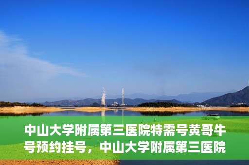 中山大学附属第三医院特需号黄哥牛号预约挂号，中山大学附属第三医院特需号专家黄哥牛号预约挂号攻略