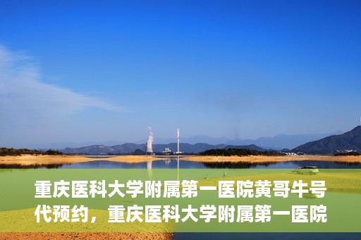 重庆医科大学附属第一医院黄哥牛号代预约，重庆医科大学附属第一医院黄哥牛号预约服务启动