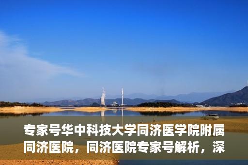 专家号华中科技大学同济医学院附属同济医院，同济医院专家号解析，深度解读医疗技术与学科优势