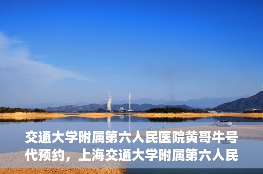交通大学附属第六人民医院黄哥牛号代预约，上海交通大学附属第六人民医院黄哥牛号预约服务启动