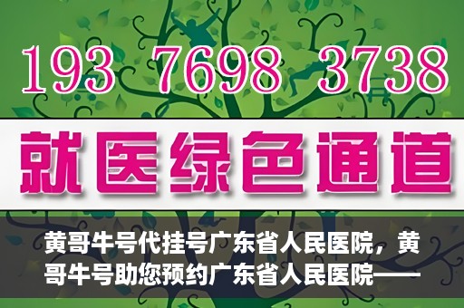 黄哥牛号代挂号广东省人民医院，黄哥牛号助您预约广东省人民医院——便捷代挂号服务