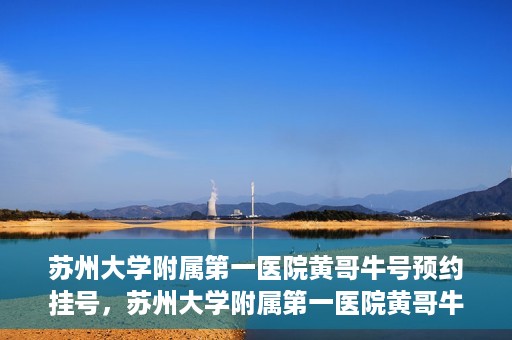 苏州大学附属第一医院黄哥牛号预约挂号，苏州大学附属第一医院黄哥牛号，预约挂号攻略