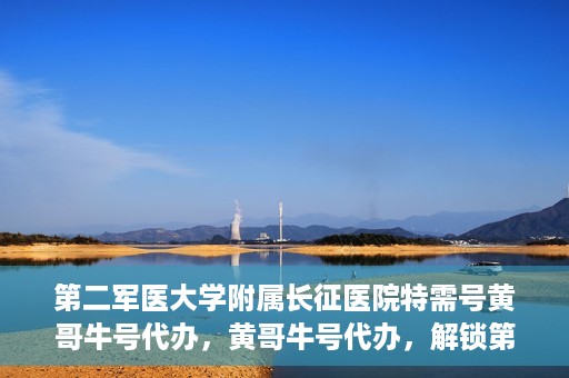 第二军医大学附属长征医院特需号黄哥牛号代办，黄哥牛号代办，解锁第二军医大学附属长征医院特需号服务新体验