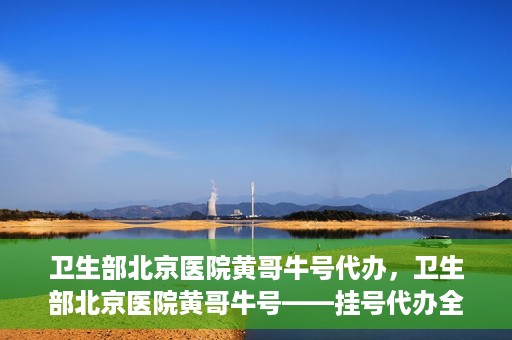 卫生部北京医院黄哥牛号代办，卫生部北京医院黄哥牛号——挂号代办全攻略