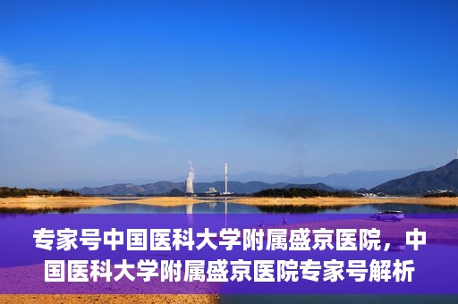专家号中国医科大学附属盛京医院，中国医科大学附属盛京医院专家号解析