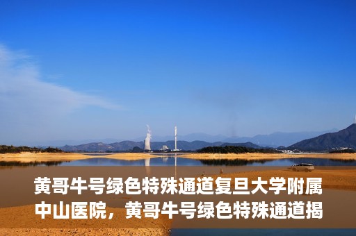 黄哥牛号绿色特殊通道复旦大学附属中山医院，黄哥牛号绿色特殊通道揭秘，复旦大学附属中山医院的独特之处