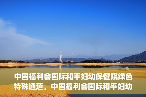 中国福利会国际和平妇幼保健院绿色特殊通道，中国福利会国际和平妇幼保健院，绿色特殊通道助力母婴健康守护