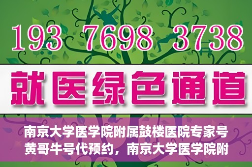 南京大学医学院附属鼓楼医院专家号黄哥牛号代预约，南京大学医学院附属鼓楼医院专家号预约服务解析，黄哥牛号代预约详解