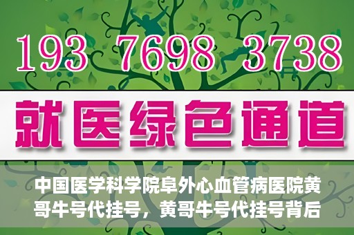 中国医学科学院阜外心血管病医院黄哥牛号代挂号，黄哥牛号代挂号背后的故事，阜外心血管病医院的探索与挑战