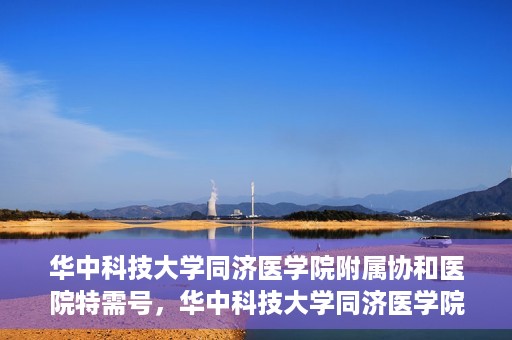 华中科技大学同济医学院附属协和医院特需号，华中科技大学同济医学院附属协和医院特需号，尊贵医疗体验，专业健康守护