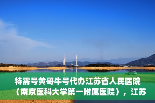 特需号黄哥牛号代办江苏省人民医院（南京医科大学第一附属医院），江苏省人民医院特需号代办服务，黄哥牛号助您轻松预约南京医科大学第一附属医院
