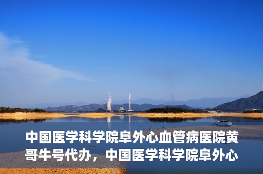 中国医学科学院阜外心血管病医院黄哥牛号代办，中国医学科学院阜外心血管病医院黄哥牛号代办，专业信赖与便捷就医之路