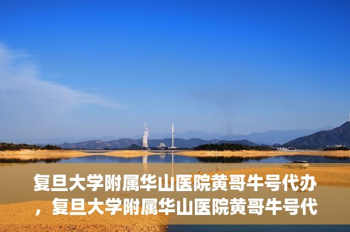 复旦大学附属华山医院黄哥牛号代办，复旦大学附属华山医院黄哥牛号代办，就医无忧，专业代办服务助您轻松就医体验