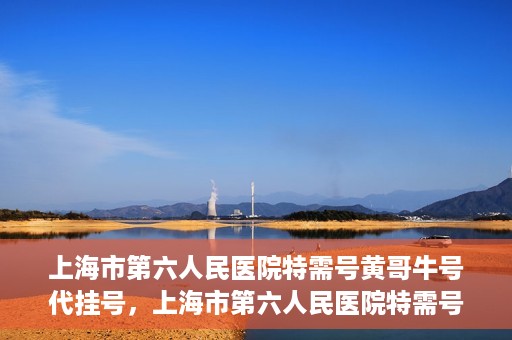 上海市第六人民医院特需号黄哥牛号代挂号，上海市第六人民医院特需号专家黄哥代挂号服务解析