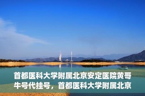 首都医科大学附属北京安定医院黄哥牛号代挂号，首都医科大学附属北京安定医院黄哥牛号助您轻松预约挂号！