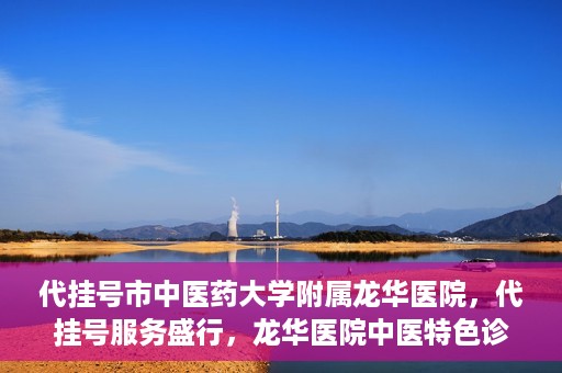 代挂号市中医药大学附属龙华医院，代挂号服务盛行，龙华医院中医特色诊疗体验