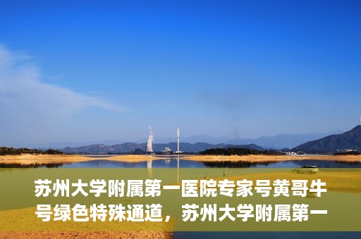 苏州大学附属第一医院专家号黄哥牛号绿色特殊通道，苏州大学附属第一医院专家号绿色通道，黄哥牛号揭秘特殊通道内幕