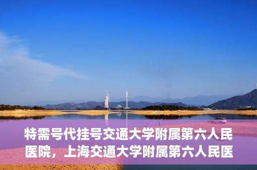 特需号代挂号交通大学附属第六人民医院，上海交通大学附属第六人民医院特需号代挂号服务解析