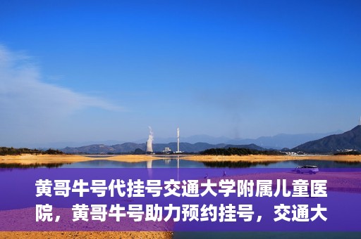 黄哥牛号代挂号交通大学附属儿童医院，黄哥牛号助力预约挂号，交通大学附属儿童医院开启便捷就医新篇章