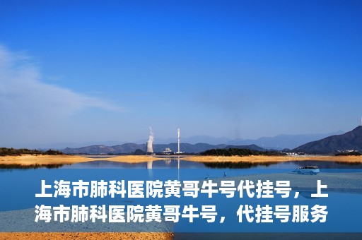 上海市肺科医院黄哥牛号代挂号，上海市肺科医院黄哥牛号，代挂号服务详解